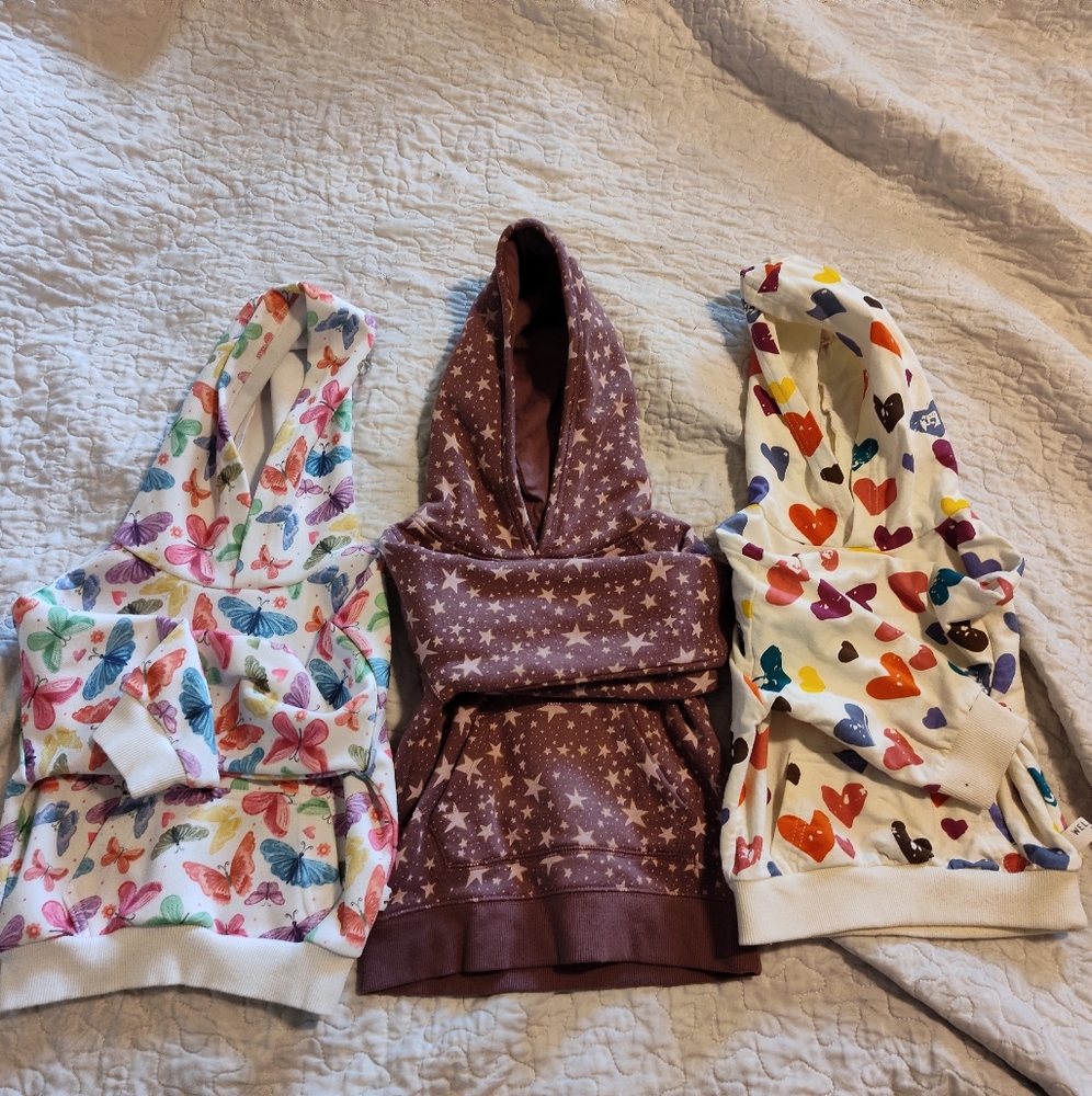 Lot of 2t Pullover Hoodies